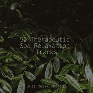 50 Therapeutic Spa Relaxation Tracks - Shakuhachi Sakano