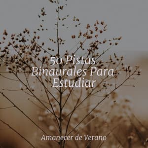 50 Pistas Binaurales Para Estudiar - Canciones Infantiles