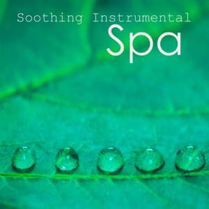 Soothing Instrumental Songs: Spa Music on Piano - Instrumental Music Songs