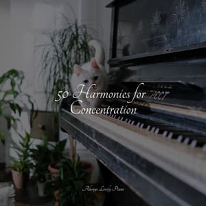 50 Soothing Piano Pieces to Bring Peace to Your Mind - Piano para Dormir