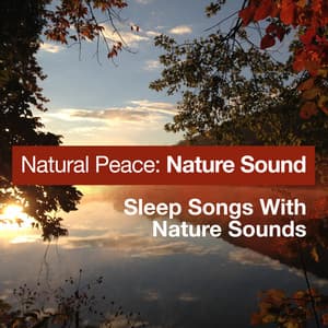 Natural Peace: Nature Sound - Sleep Songs with Nature Sounds