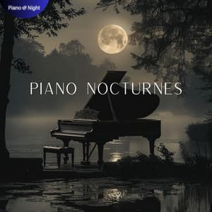Piano Nocturnes: Melodies for the Moonlit Path - Piano & Night
