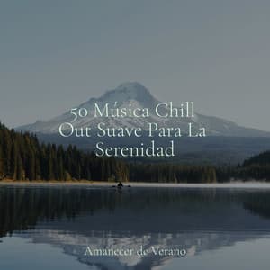 50 Música Chill Out Suave Para La Serenidad - Rumbas de España