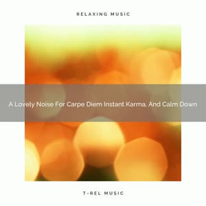 A Lovely Noise For Carpe Diem Instant Karma, And Calm Down - Sleepful Noises