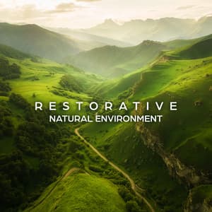 Restorative Natural Environment: Tropical Jungle, Singing Birds, Ocean Waves, Light Rain, Crackling Fire, Bubbling River, Soft Wind, Little Frogs and Crickets - Mindfulness Meditation Music Spa Maestro