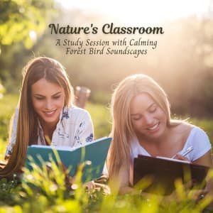Nature's Classroom: A Study Session with Calming Forest Bird Soundscapes - Natureza FX