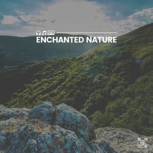 Enchanted Nature - Tranquility Spa Universe