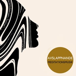 Avslappnande meditationsmusik - Daniel Shanti