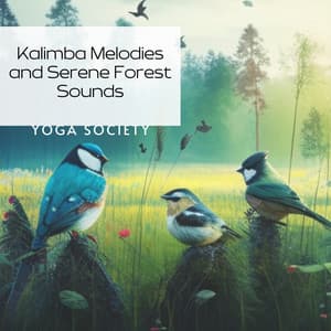 Kalimba Melodies and Serene Forest Sounds - Yoga Society