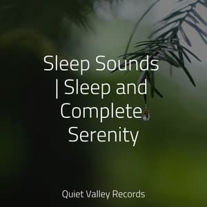 Sleep Sounds | Sleep and Complete Serenity - Natural Sample Makers