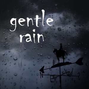 Gentle Rain - Background Noise From TraxLab