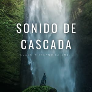 Sonido De Cascada Suave Y Tranquila Vol. 1 - Sonidos relajantes del agua