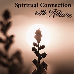 Spiritual Connection with Nature - Meditation Therapy Music with Nature Sound, Asian Zen, Deep Concentration, Chakras Energy, Relax Your Brain, Open Heart, Serenity and Balance - Sounds of Nature Relaxation