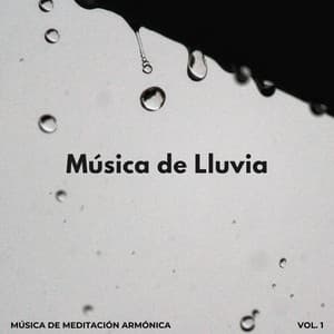 Música De Lluvia: Música De Meditación Armónica Vol. 1 - Meditación de lluvia