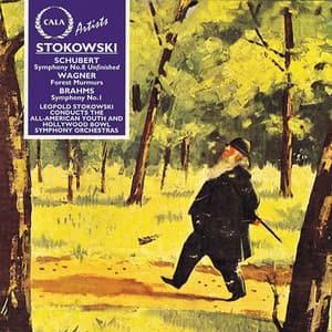 Schubert, Wagner, Brahms - Leopold Stokowski
