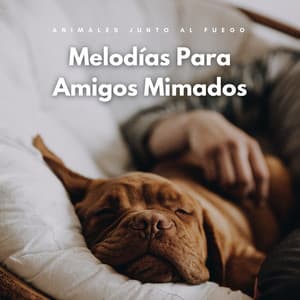 Animales Junto Al Fuego: Melodías Para Amigos Mimados - Flamespad Naturaleza Fuego Sonidos