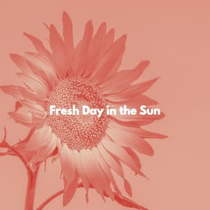 Fresh Day in the Sun - Quiet Sunday Morning Music