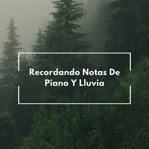 Recordando Notas De Piano Y Lluvia - Piano de una audiencia