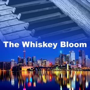 The Whiskey Bloom - Soft Jazz Cafe
