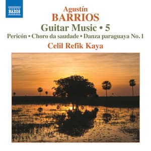Barrios Mangoré: Guitar Music, Vol. 5 - Agustín Barrios Mangoré