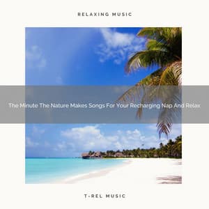 The Minute The Nature Makes Songs For Your Recharging Nap And Relax - Zen Sounds