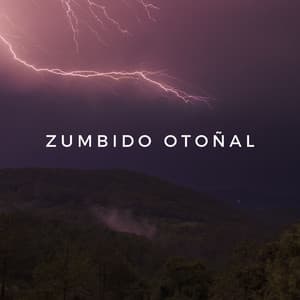 Zumbido Otoñal - Sonidos de la Naturaleza JBE