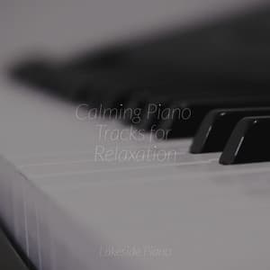 Calming Piano Tracks for Relaxation - SD