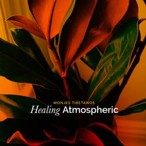 Healing Atmospheric - Monjes Tibetanos