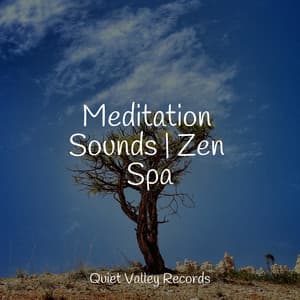 Meditation Sounds | Zen Spa - Nursery Rhymes