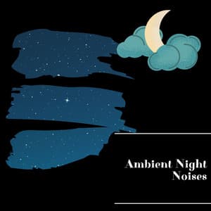 Ambient Night Noises - Night Nature Sounds