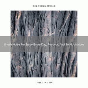 2021 New: Shush Noise For Enjoy Every Day, Recover, And So Much More - White Noise 2015