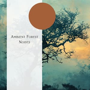 Ambient Forest Noises - Natural Forest FX