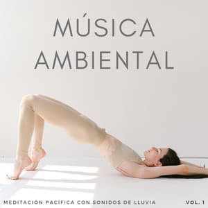 Música Ambiental: Ruido De Lluvia Para Curación Y Meditación Vol. 1 - Lluvia y Truenos