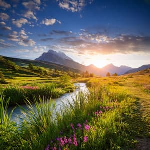 Armonía Desatada: Música Para El Alma - Paisajes Binaurales