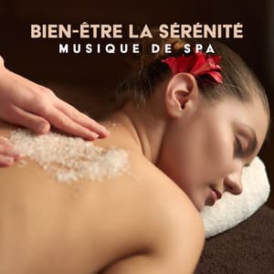 Bien-être la sérénité: Musique de spa, Sons de la nature de l'harmonie, Relaxation profonde - Relaxation Area