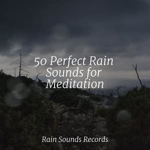 50 Perfect Rain Sounds for Meditation - Canción de Cuna