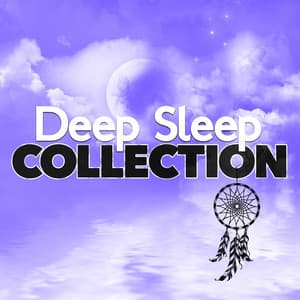 Deep Sleep Collection - Deep Sleep Music Club