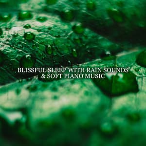 Blissful Sleep with Rain Sounds & Soft Piano Music – Dream Time Music, Piano Lullabies, Music for Deep Sleep, Tension Release, Tranquility, Healing Sounds of Rain - Rain Music!