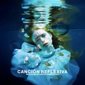 Canción Reflexiva - Relajacion Sonidos Del Mar y Oceano