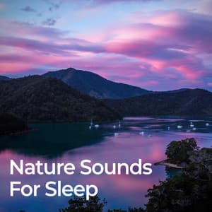Nature Sounds for Sleep - Relaxing Nature Sounds Collection