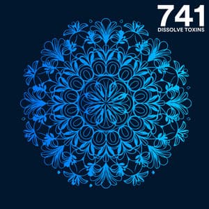 741 Hz Dissolve Toxins - Mindful Behaviour