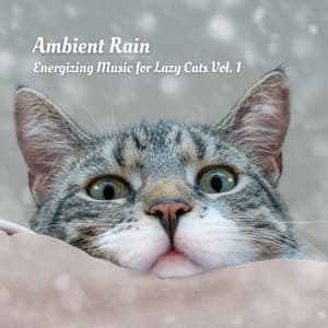 Ambient Rain: Energizing Music for Lazy Cats Vol. 1 - Soothing Cat Music