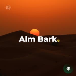 A Morning Sonic Ascension - Big Ordo