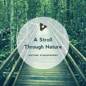 A Stroll Through Nature - Nature Sounds ASMR