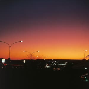 Vistas and Feelings - Gregor F. Narholz