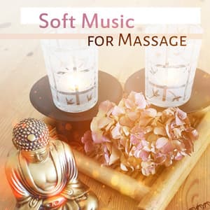 Soft Music for Massage: Velvet Sounds for Total Relax, Beauty Time, Relaxing Instrumental Background Music - Real Massage Music Collection