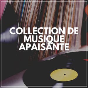 Collection De Musique Apaisante - Les Voies de la Relaxation