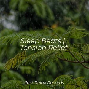 Sleep Beats | Tension Relief - Meditation Awareness
