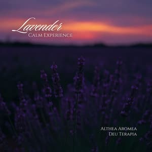 Lavender Calm Experience - Deu Terapia