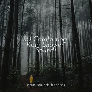 50 Comforting Rain Shower Sounds - Relajacion Del Mar